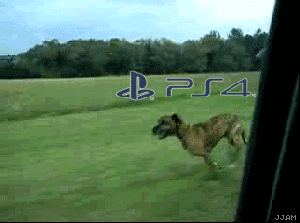 xbox-one-jumping-dog2